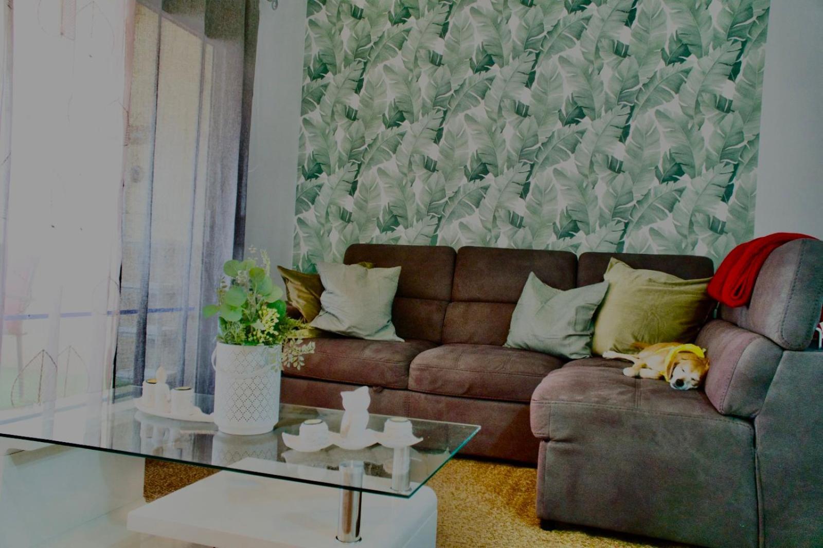 Heart And Soul Apartment Σαν Μιγκέλ ντε Αμπόνα Εξωτερικό φωτογραφία